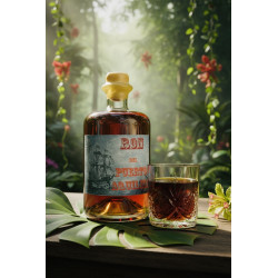 1. Heidenheimer Rum aus der Hafenstadt

Gemaischt aus Zuckerrohrmelasse aus der Karibik