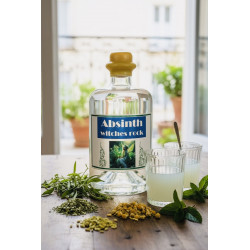 Absinth witches rock aus Heidenheim an der Brenz