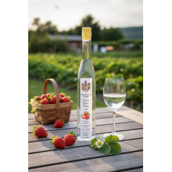 Geist aus Gartenerdbeeren